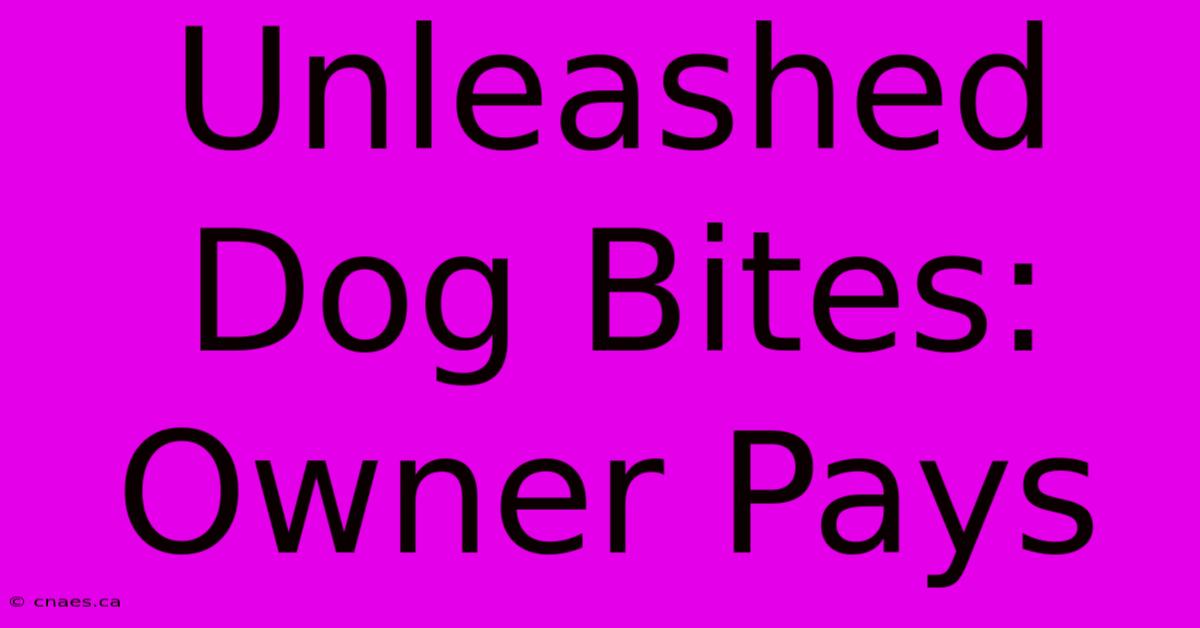 Unleashed Dog Bites: Owner Pays