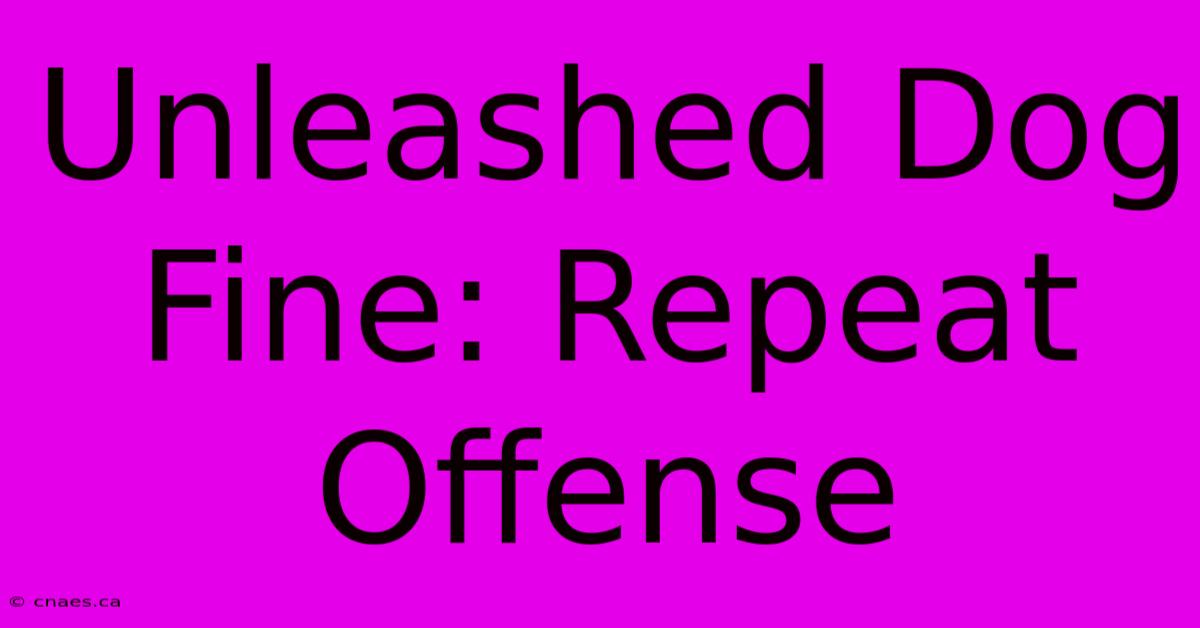 Unleashed Dog Fine: Repeat Offense