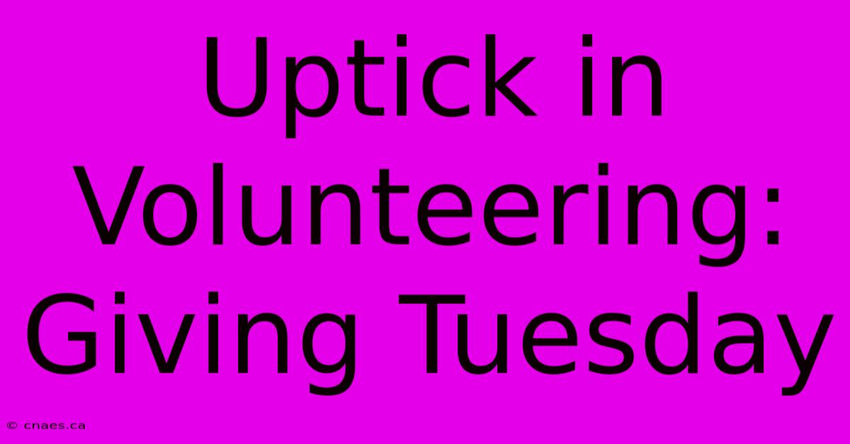 Uptick In Volunteering: Giving Tuesday