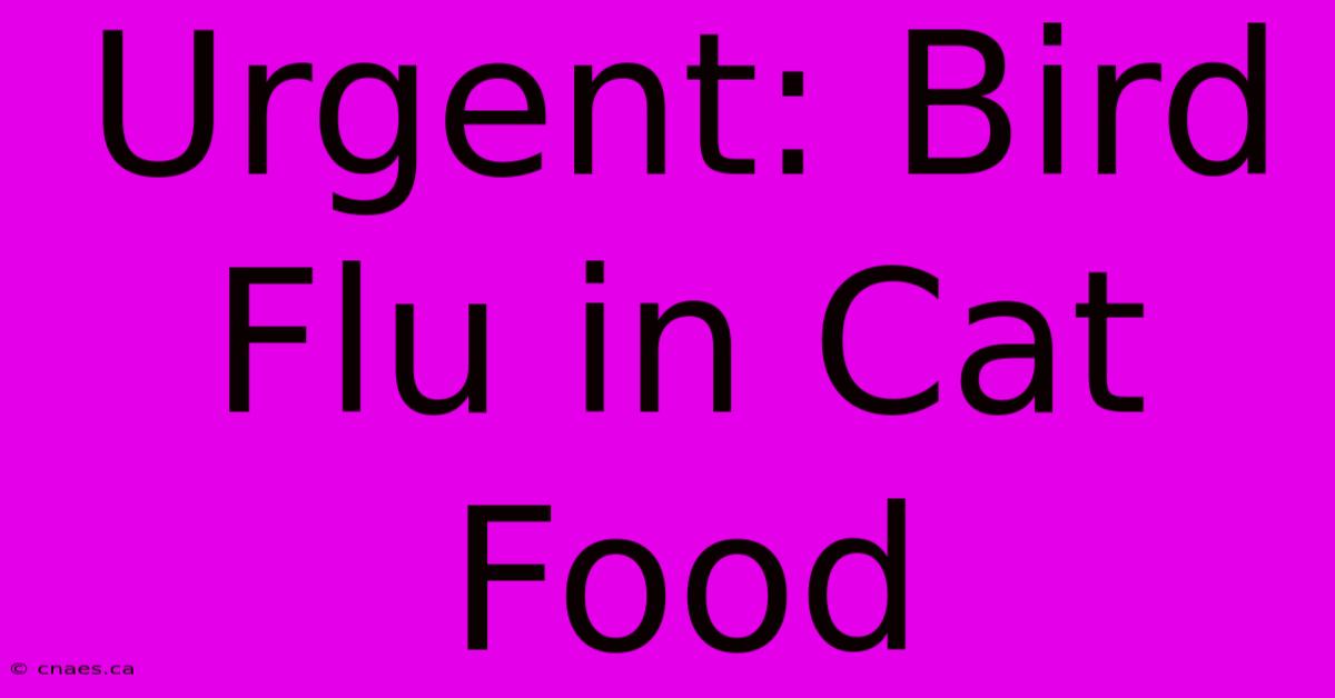 Urgent: Bird Flu In Cat Food