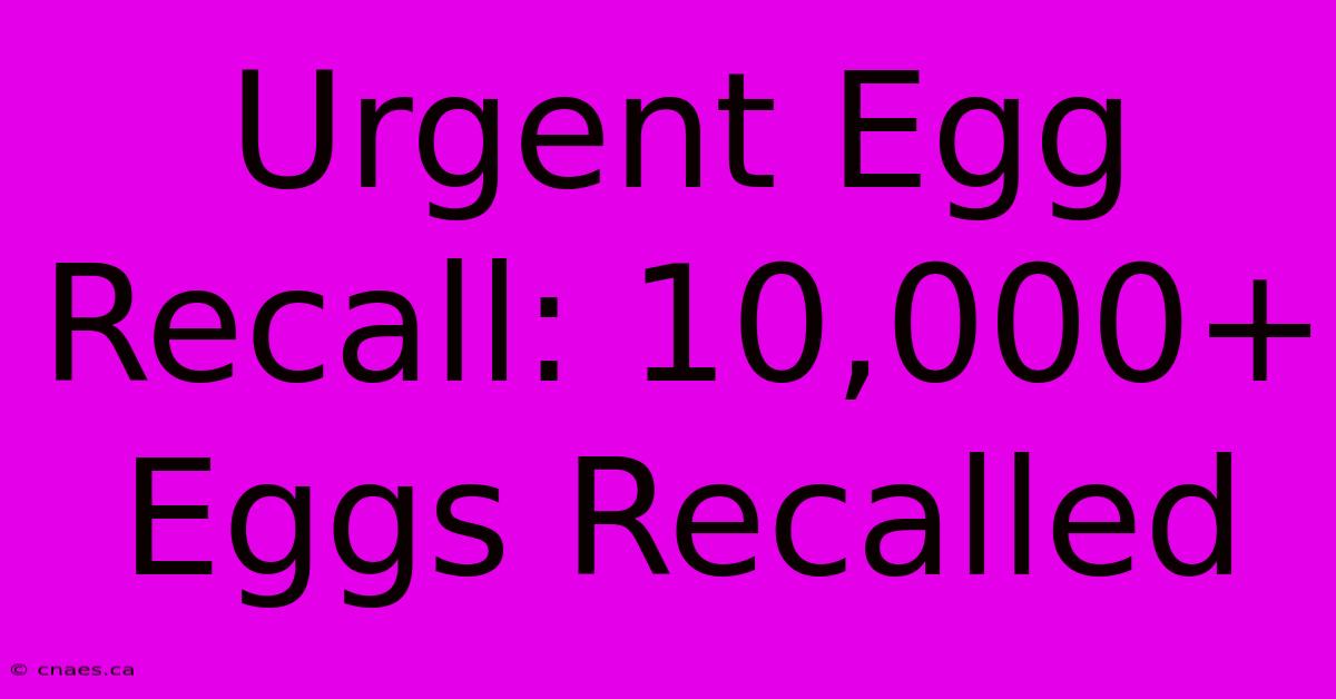 Urgent Egg Recall: 10,000+ Eggs Recalled