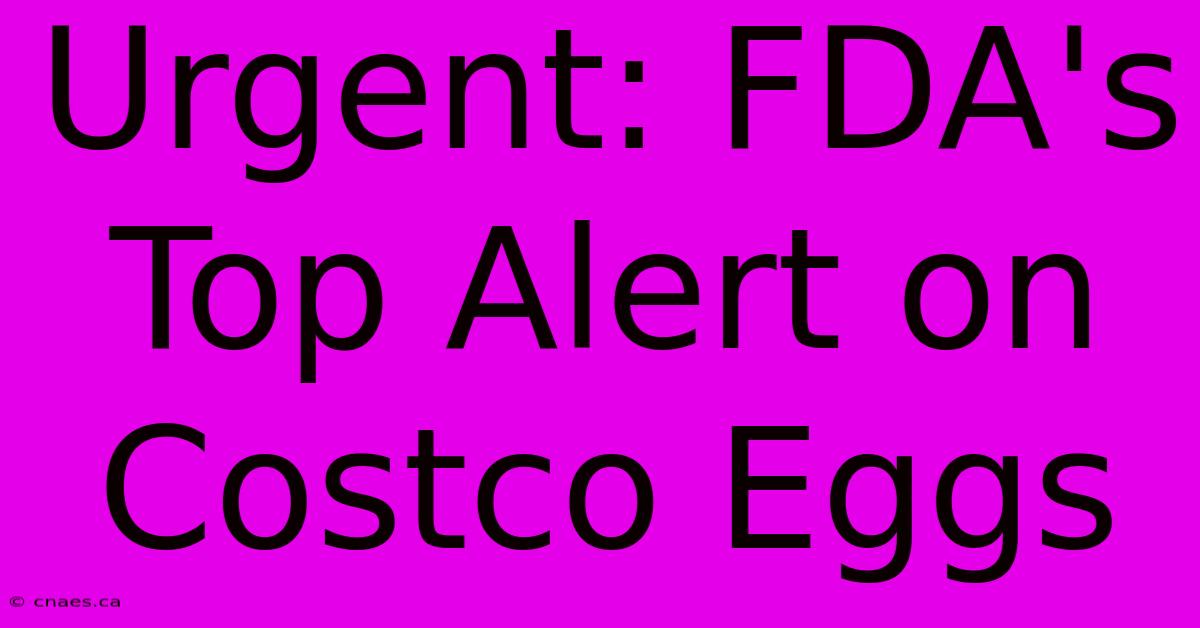 Urgent: FDA's Top Alert On Costco Eggs