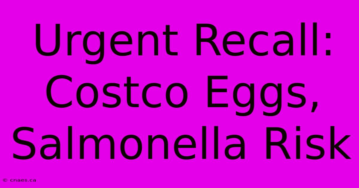 Urgent Recall: Costco Eggs, Salmonella Risk