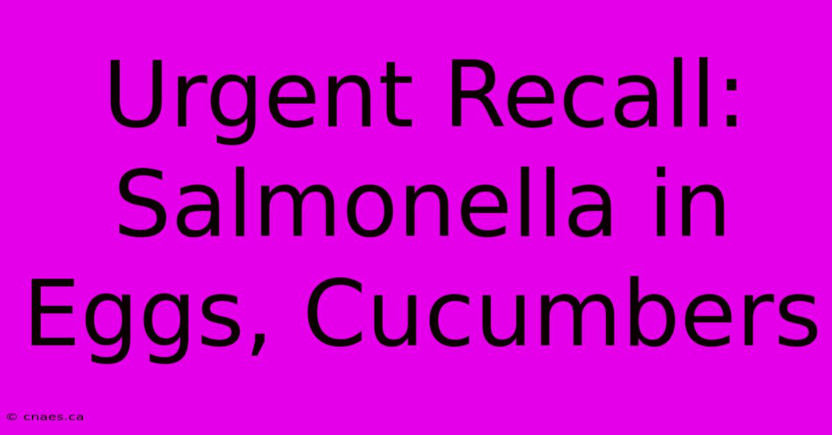 Urgent Recall: Salmonella In Eggs, Cucumbers