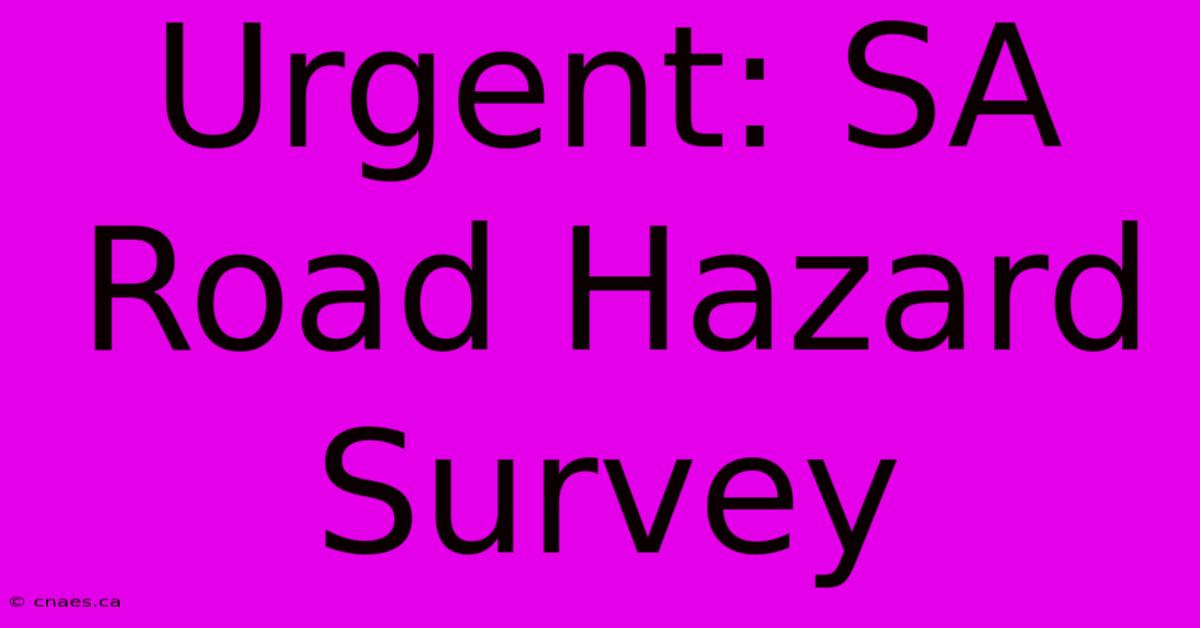 Urgent: SA Road Hazard Survey