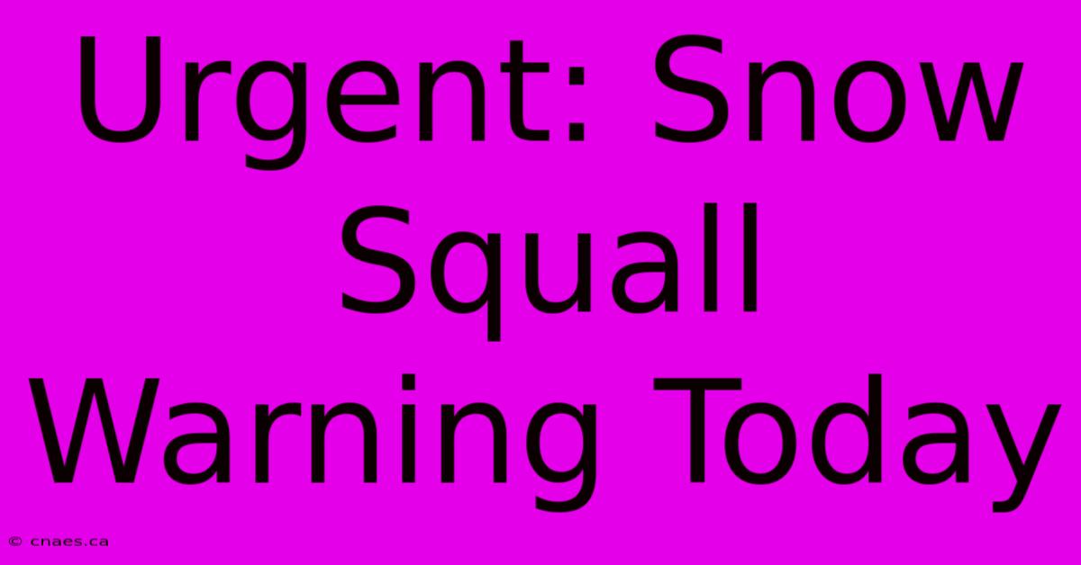 Urgent: Snow Squall Warning Today