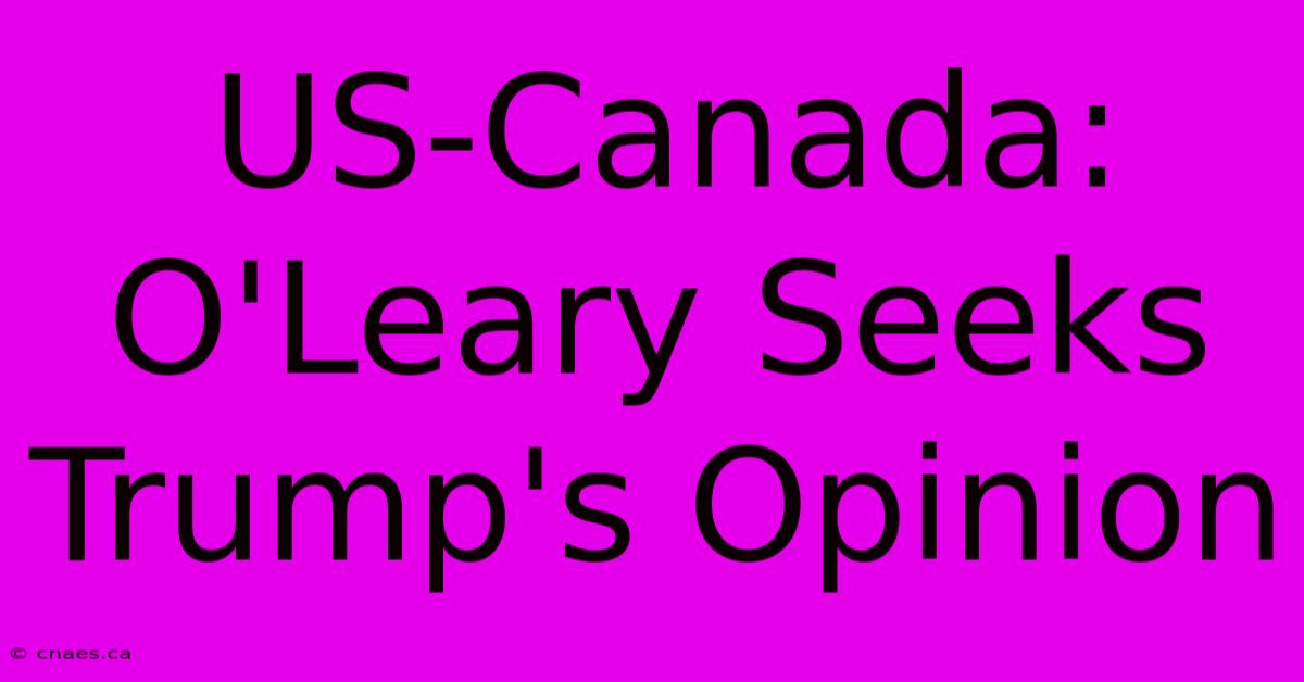 US-Canada: O'Leary Seeks Trump's Opinion