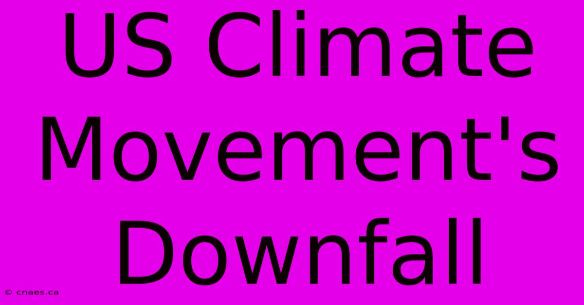 US Climate Movement's Downfall