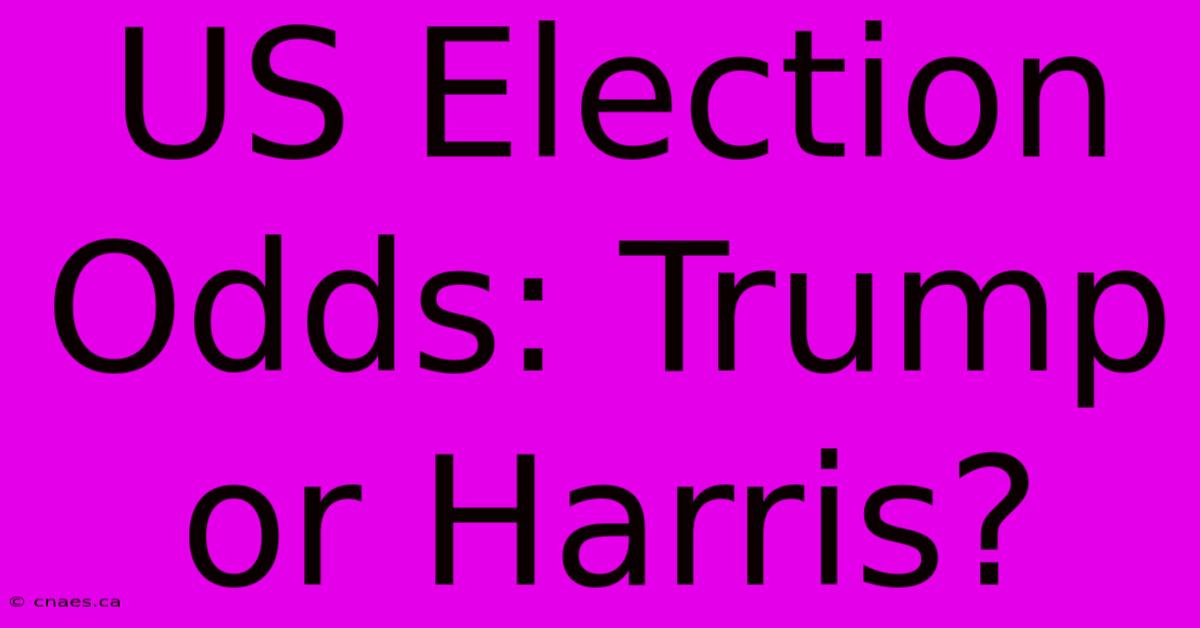 US Election Odds: Trump Or Harris?