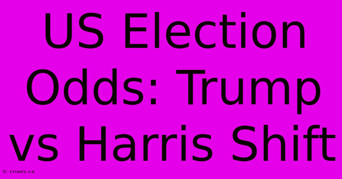 US Election Odds: Trump Vs Harris Shift