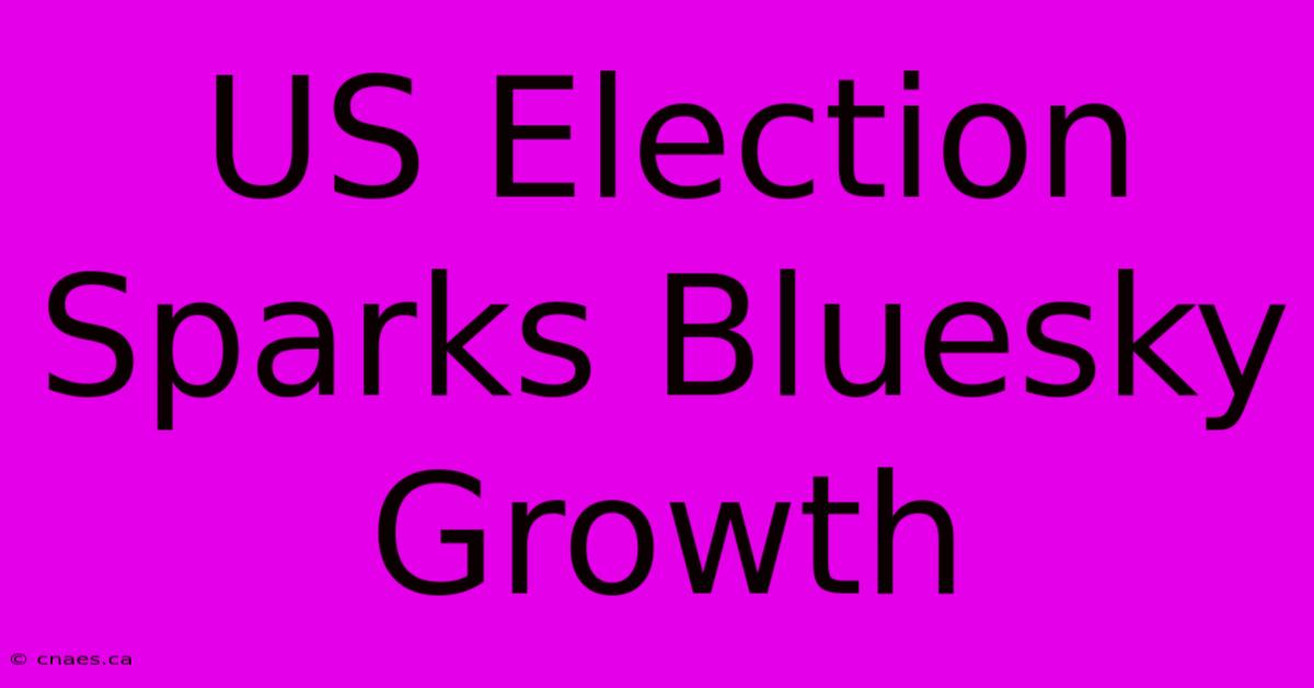 US Election Sparks Bluesky Growth