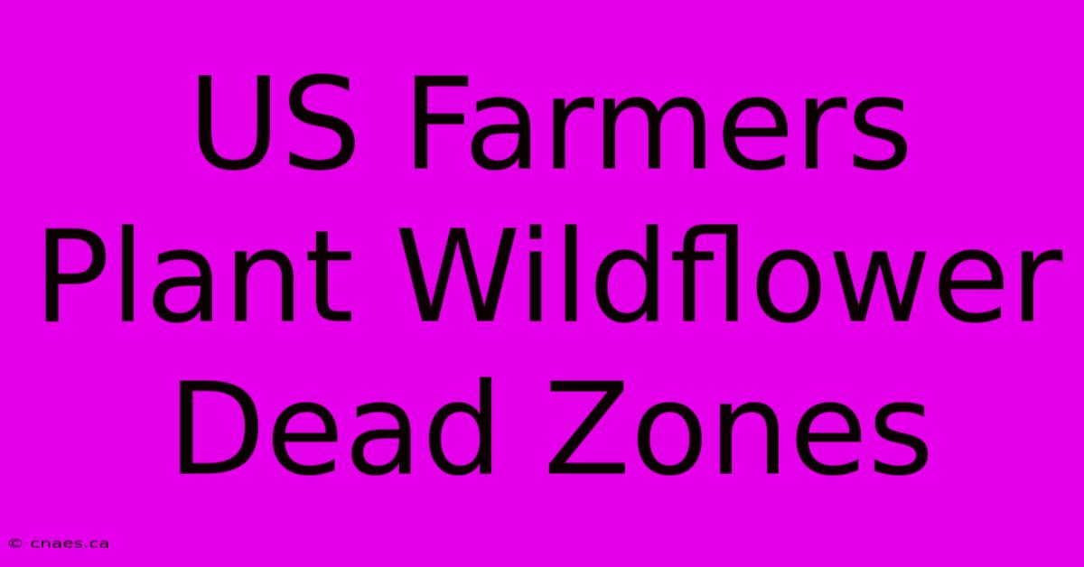 US Farmers Plant Wildflower Dead Zones