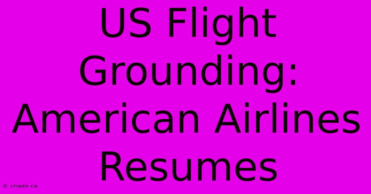 US Flight Grounding: American Airlines Resumes