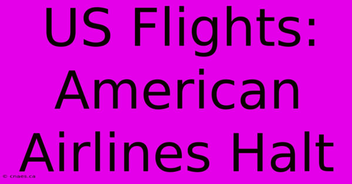 US Flights: American Airlines Halt