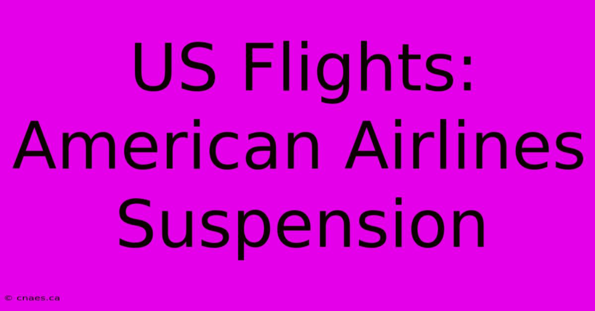 US Flights: American Airlines Suspension