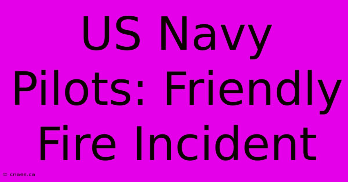 US Navy Pilots: Friendly Fire Incident