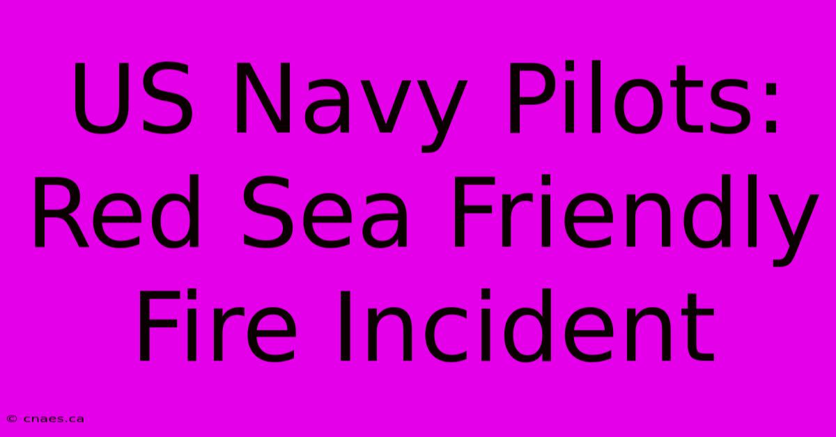 US Navy Pilots: Red Sea Friendly Fire Incident