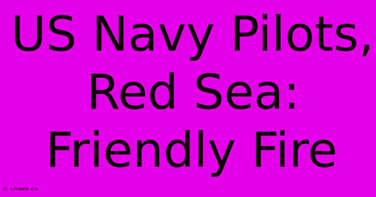 US Navy Pilots, Red Sea: Friendly Fire