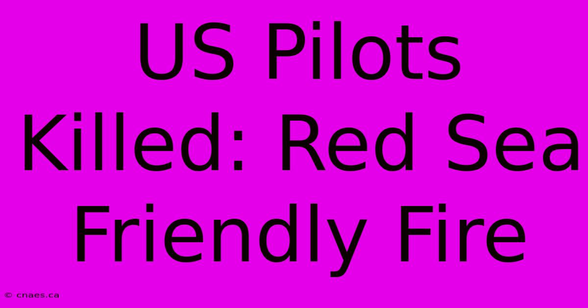 US Pilots Killed: Red Sea Friendly Fire