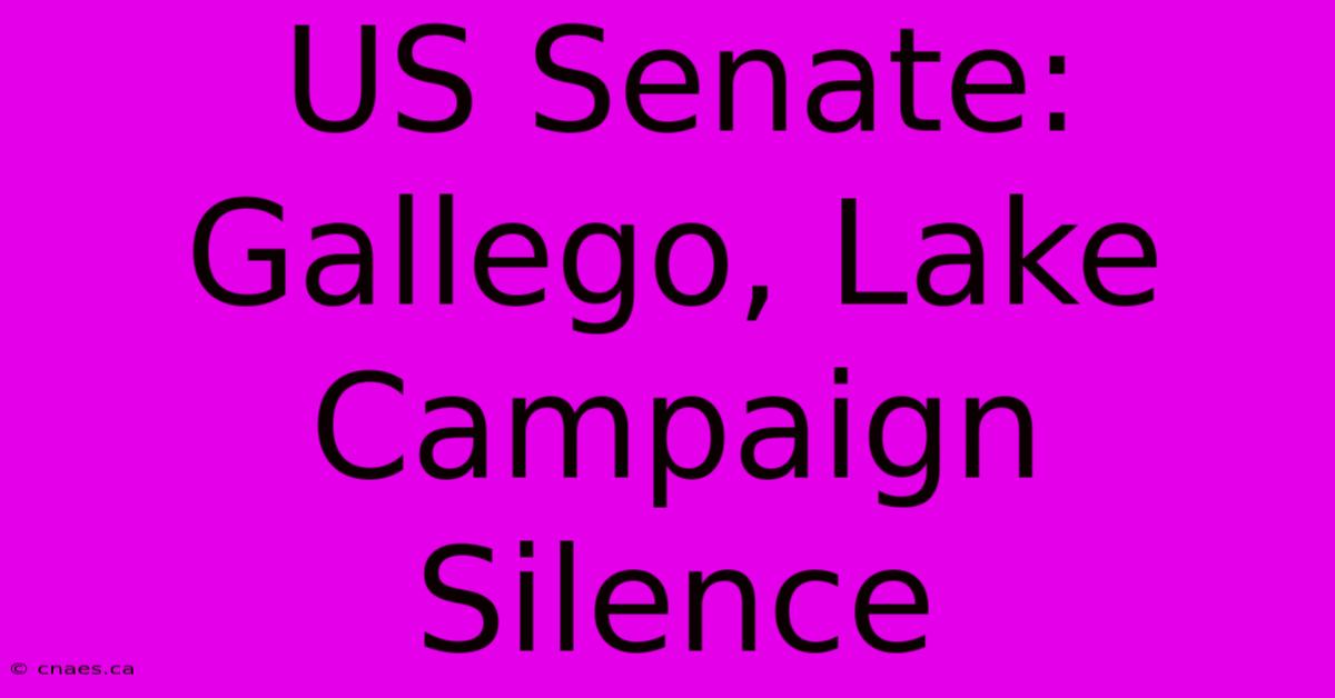 US Senate: Gallego, Lake Campaign Silence