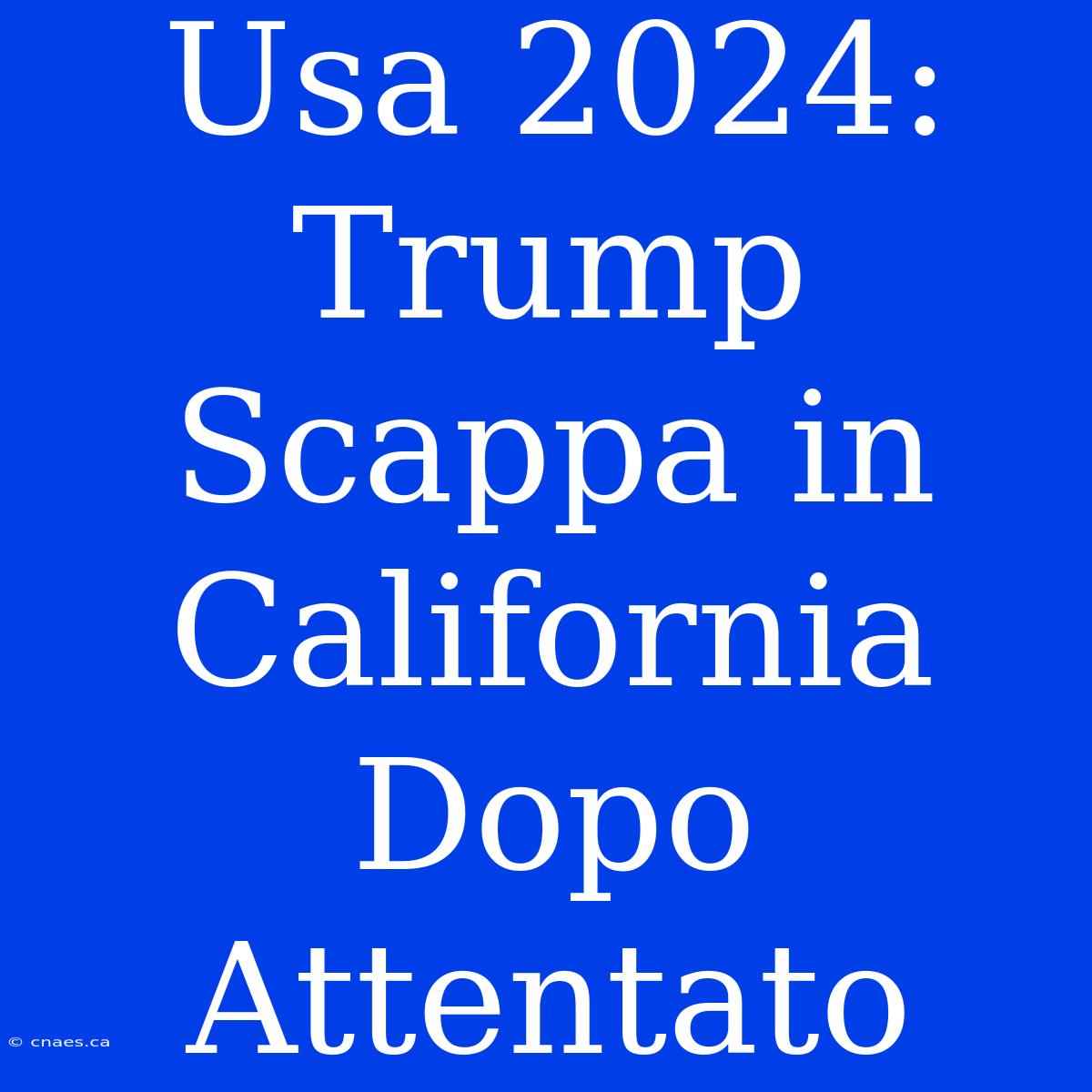 Usa 2024: Trump Scappa In California Dopo Attentato