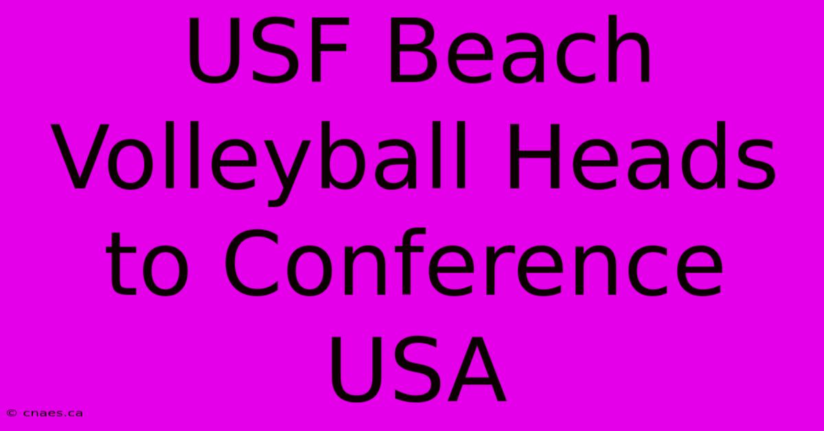 USF Beach Volleyball Heads To Conference USA