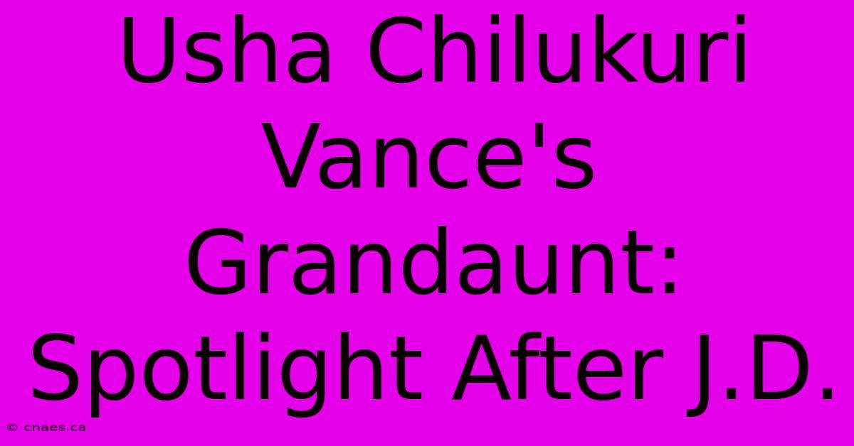 Usha Chilukuri Vance's Grandaunt: Spotlight After J.D.