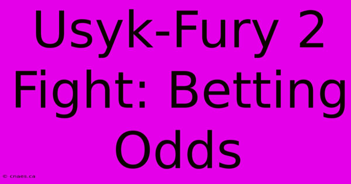 Usyk-Fury 2 Fight: Betting Odds