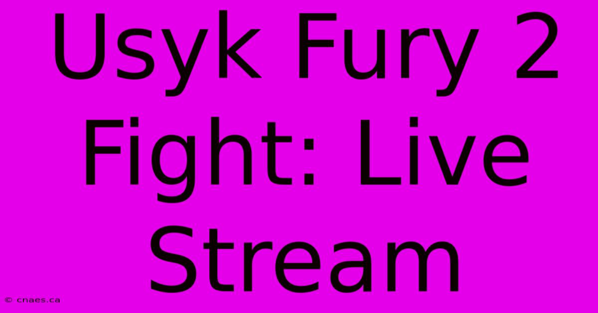 Usyk Fury 2 Fight: Live Stream