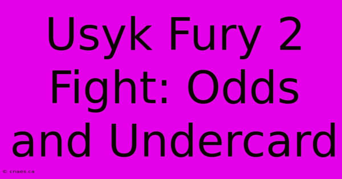 Usyk Fury 2 Fight: Odds And Undercard