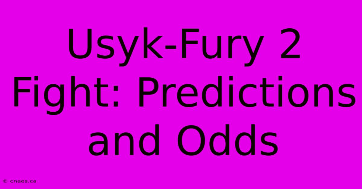 Usyk-Fury 2 Fight: Predictions And Odds