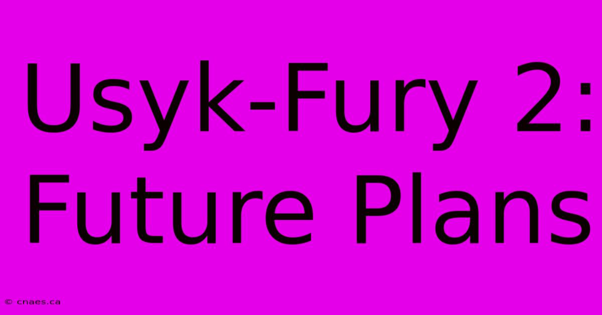 Usyk-Fury 2: Future Plans