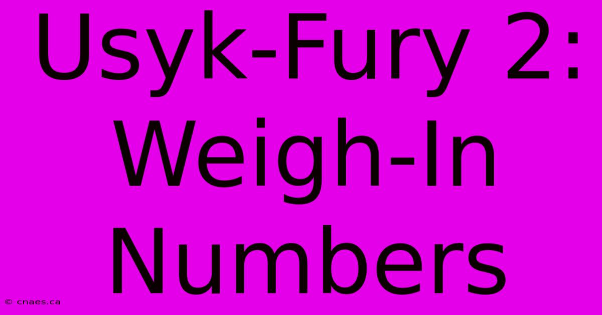 Usyk-Fury 2: Weigh-In Numbers