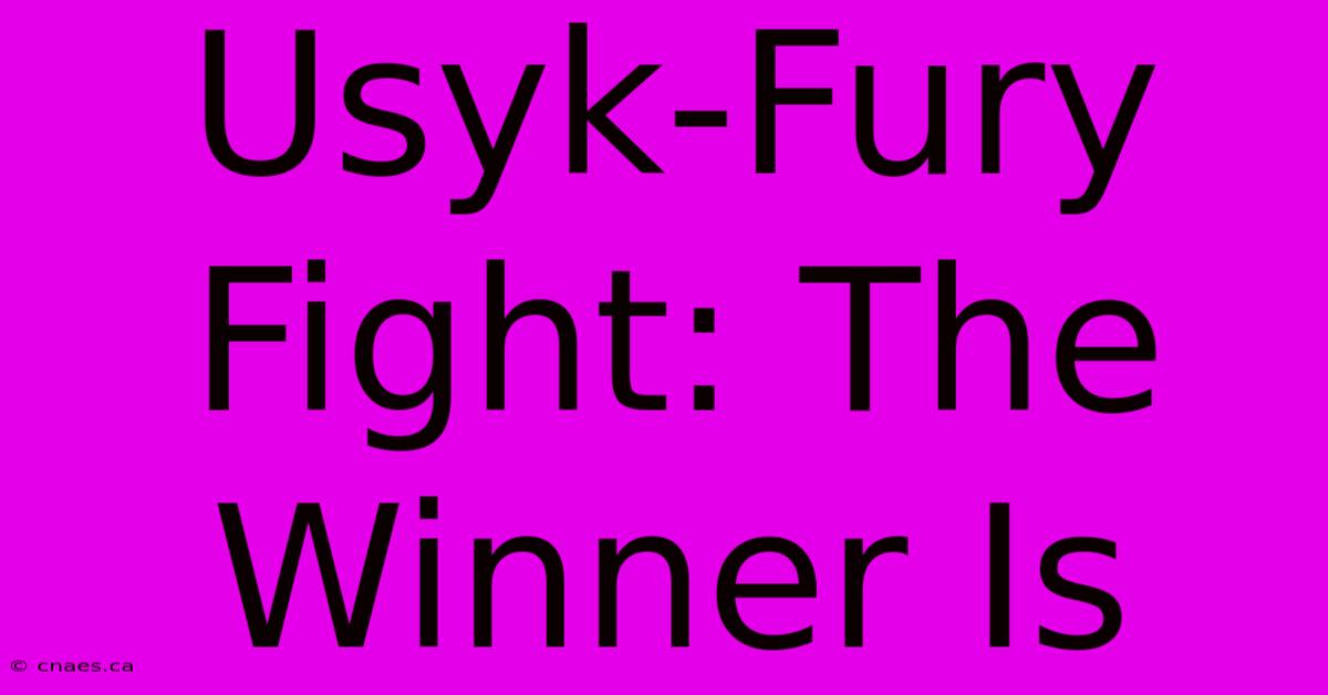 Usyk-Fury Fight: The Winner Is