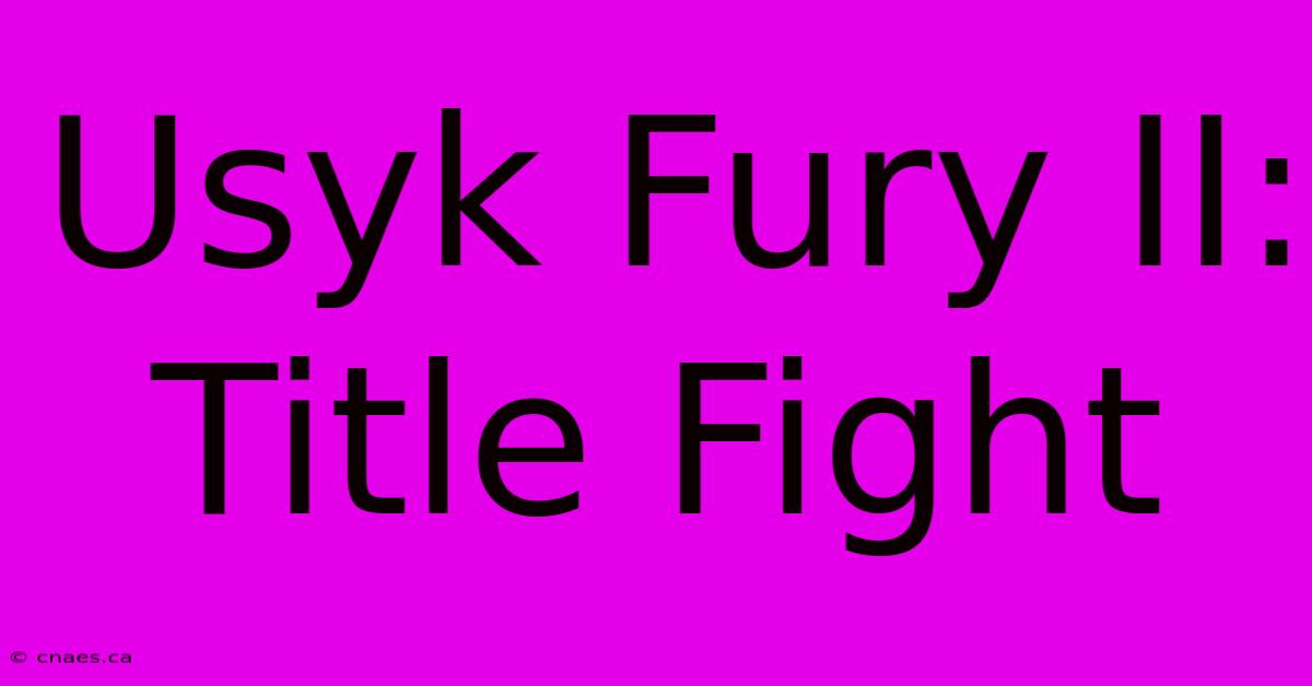 Usyk Fury II: Title Fight