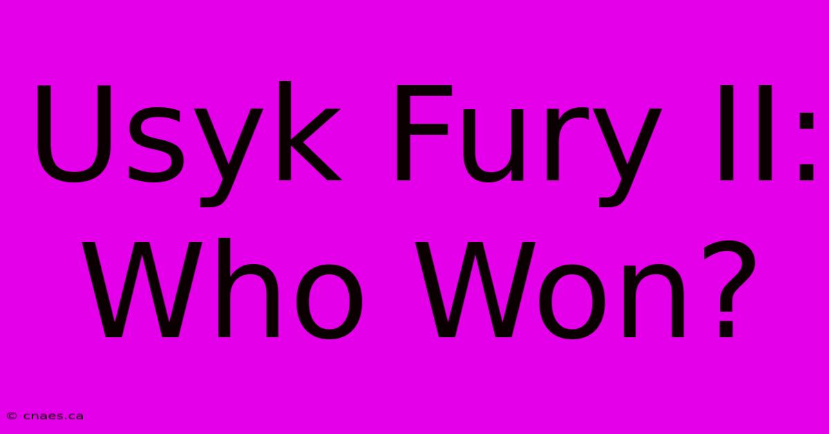 Usyk Fury II:  Who Won?