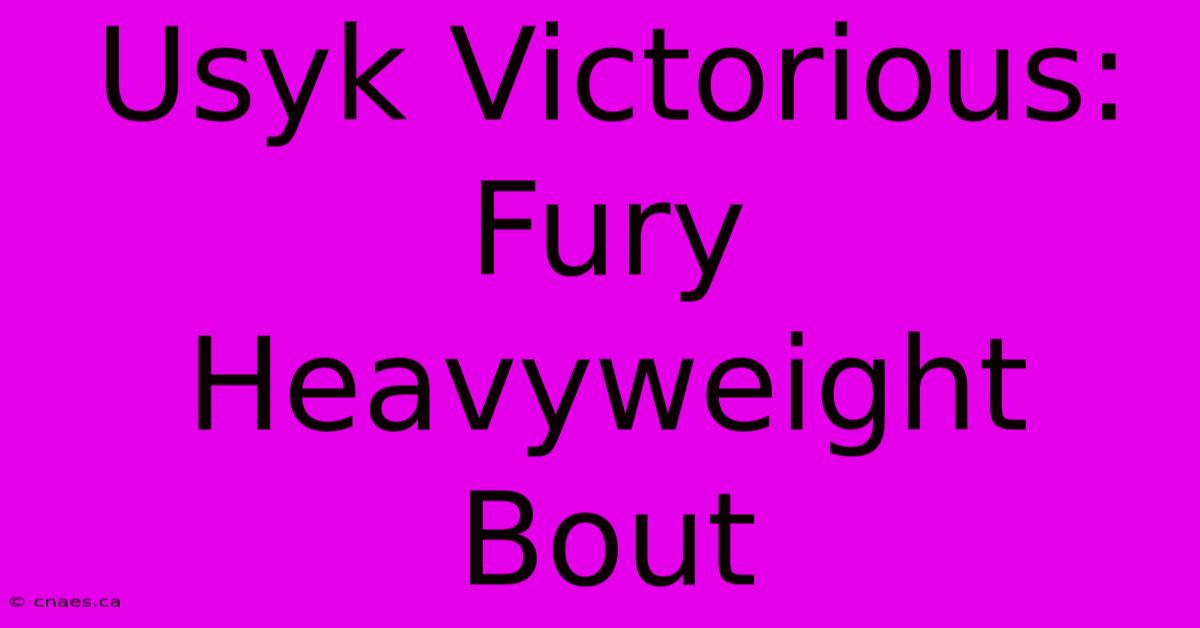 Usyk Victorious: Fury Heavyweight Bout