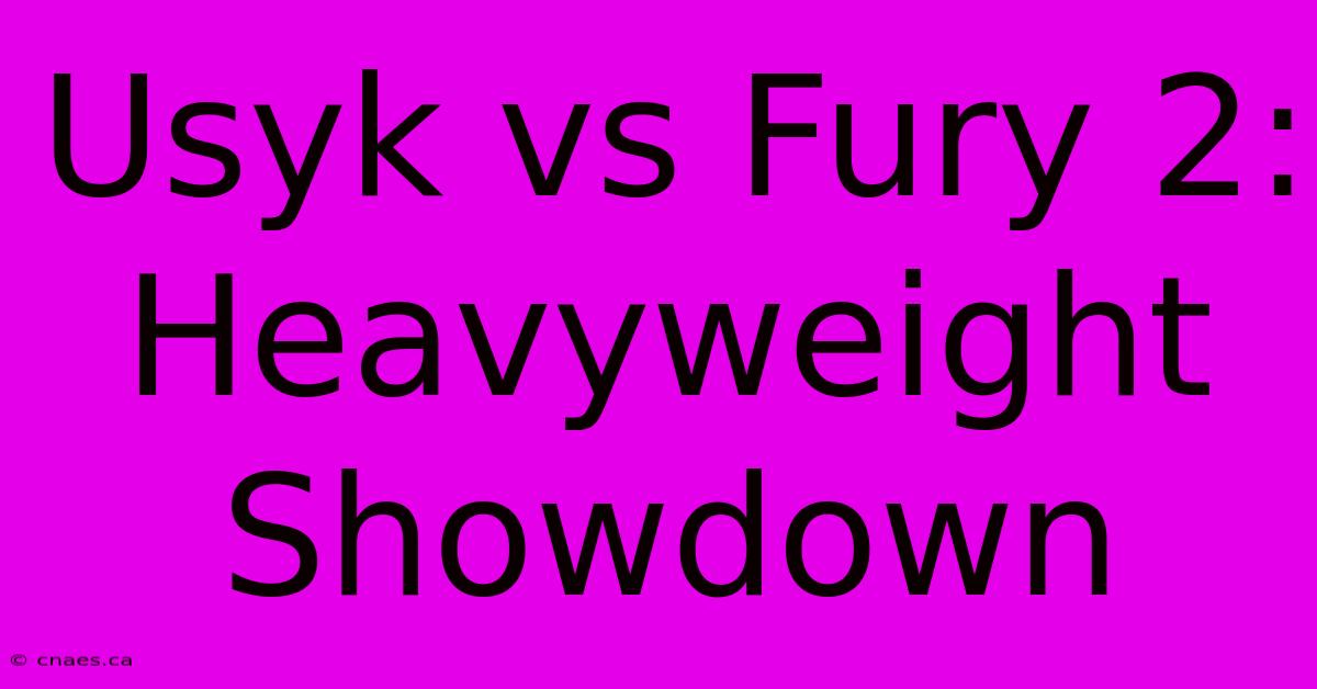 Usyk Vs Fury 2: Heavyweight Showdown