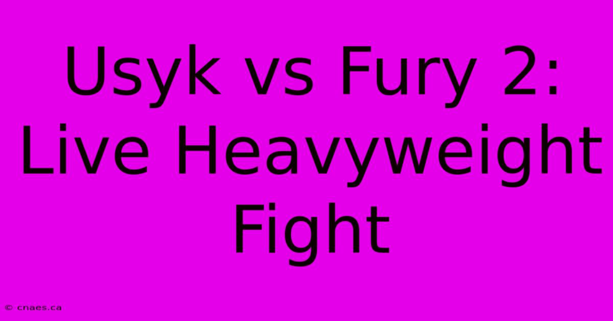 Usyk Vs Fury 2: Live Heavyweight Fight