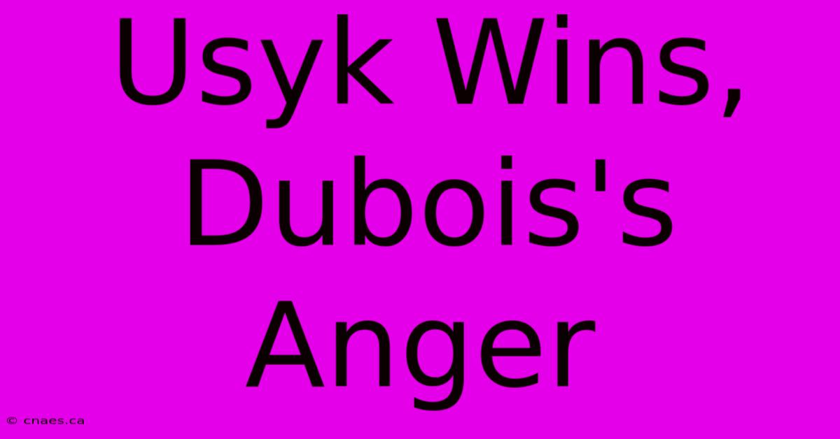 Usyk Wins, Dubois's Anger