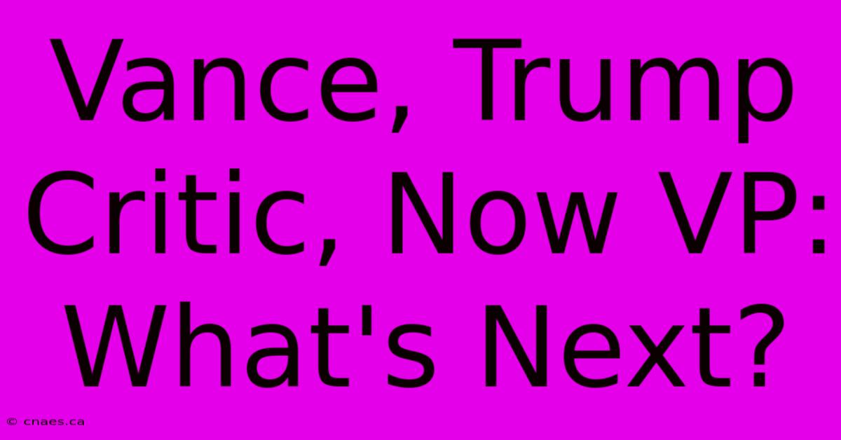 Vance, Trump Critic, Now VP: What's Next?