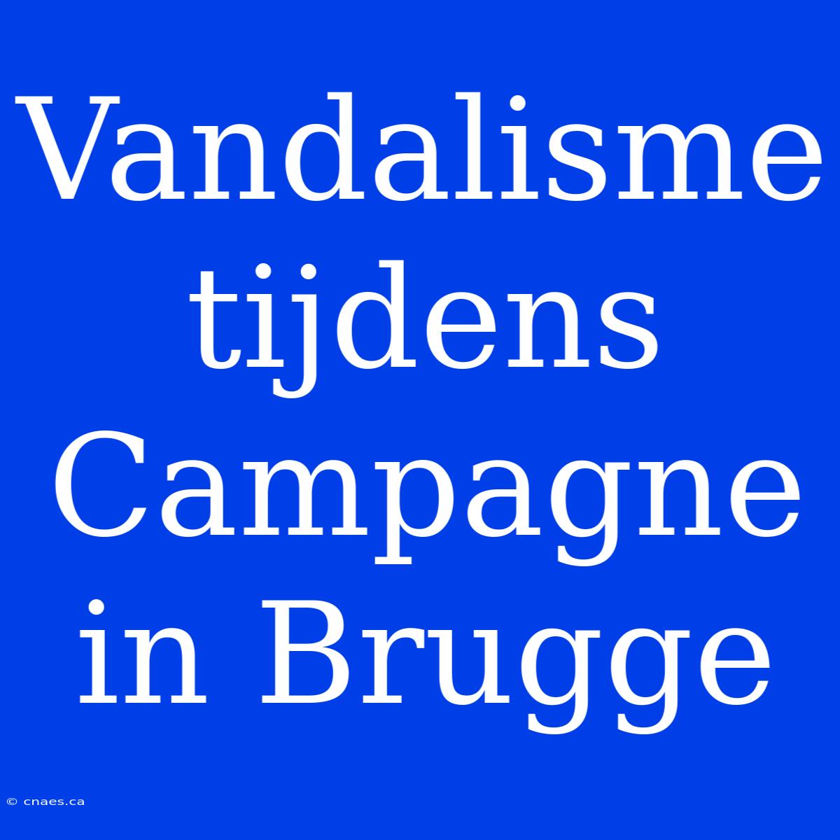 Vandalisme Tijdens Campagne In Brugge