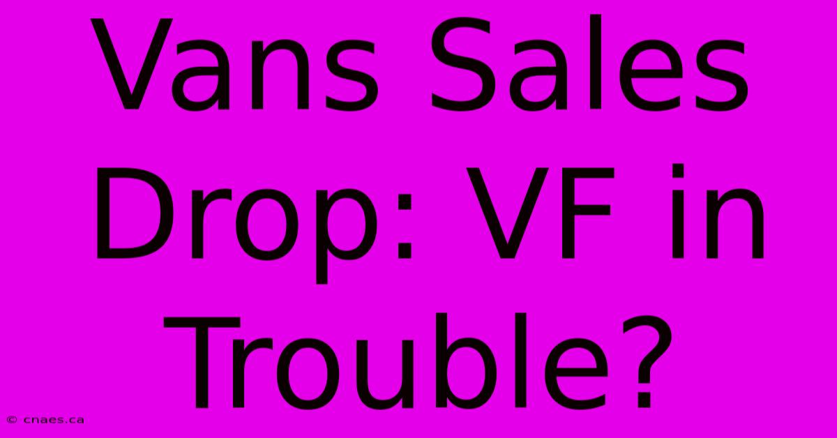 Vans Sales Drop: VF In Trouble?