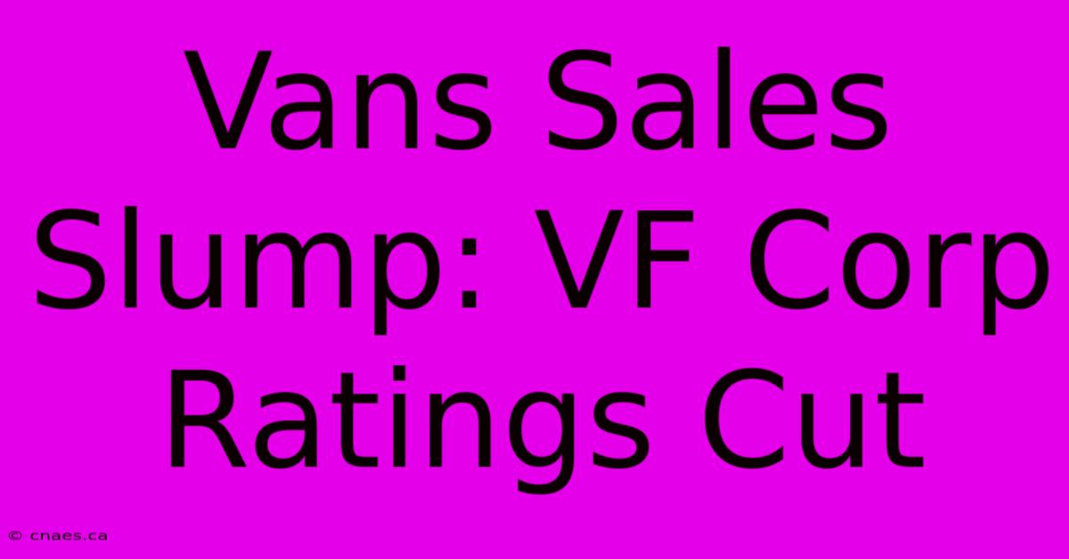 Vans Sales Slump: VF Corp Ratings Cut