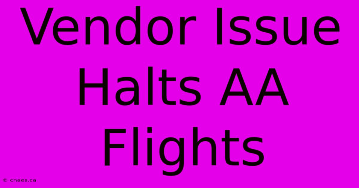 Vendor Issue Halts AA Flights