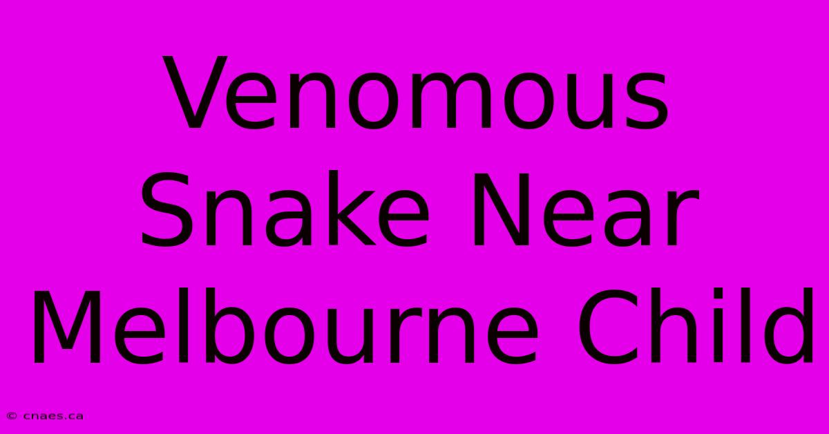 Venomous Snake Near Melbourne Child