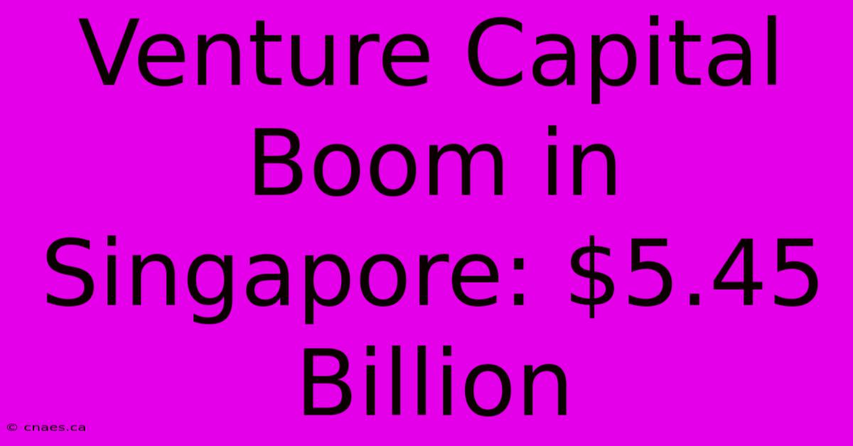 Venture Capital Boom In Singapore: $5.45 Billion