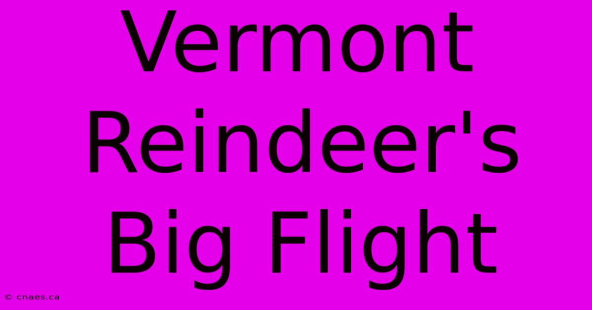 Vermont Reindeer's Big Flight