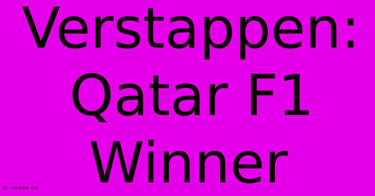 Verstappen: Qatar F1 Winner