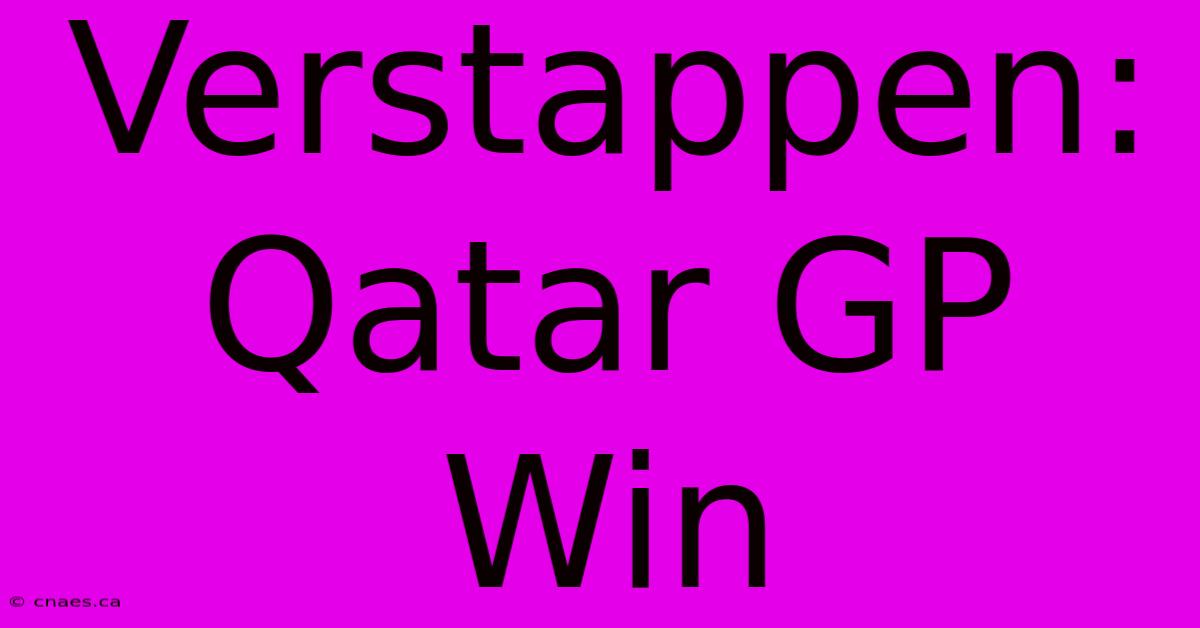 Verstappen: Qatar GP Win